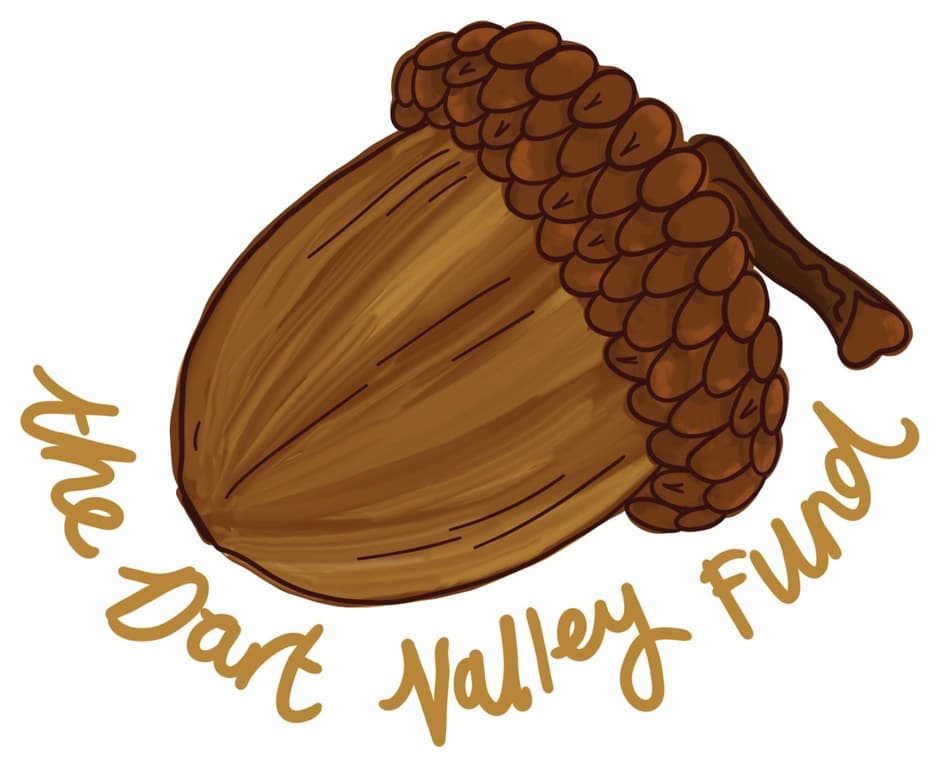The Dart Valley Fund